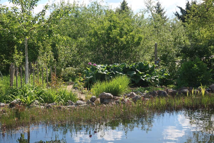 Nutzgarten am Teich