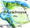 Thumb-Aurachwiese