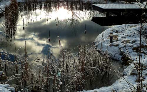 Teich im Winter