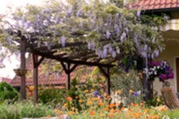 Pergola