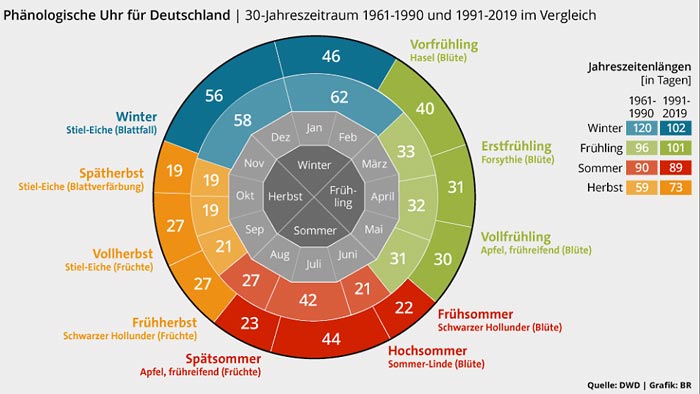 phänologischer Kalender