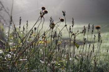 Herbstbild