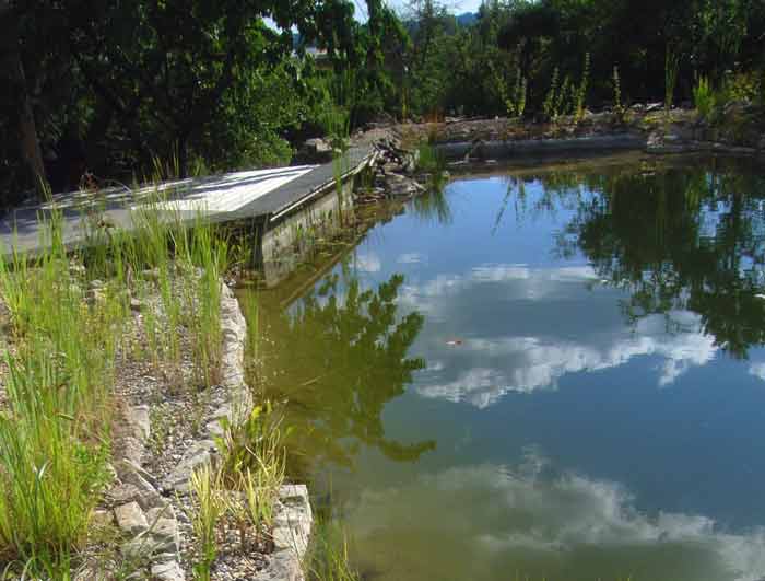 Schwimmteich Scheinfeld